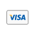 Visa credit debit card