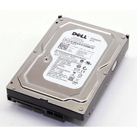 Dell 20TPJ 600GB 10K RPM SAS-6GBPS HDD
