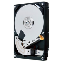 Hitachi 0B23661 300GB 15K RPM HDD SAS 6GBPS