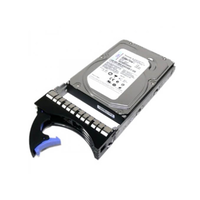 IBM 42D0783 2TB-7.2K RPM HDD SATA