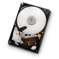 Hitachi  0F12623 2 TB SATA 3GBPS Hard Disk Drive
