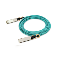 Cisco QSFP-100G-AOC25M Cables