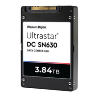 Western Digital WUS4BA1A1DSP3X1 15.36TB SSD