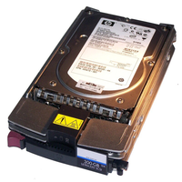 HP EF0300FARMU 300GB Hard Disk Drive