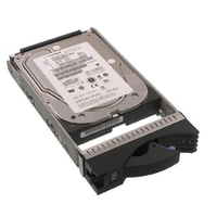 IBM 44W2238 300GB Hard Disk Drive