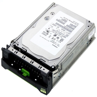 Hitachi HUS156045VLS600 SAS Hard Disk Drive