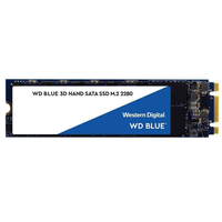 Western Digital WDS500G2B0B 500GB Solid State Drive