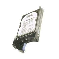 IBM 9PN066-039 600GB Hard Disk Drive
