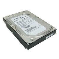 Seagate ST33000650NS Hard Disk Drive