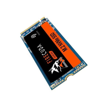 Seagate ZP1000GM30011 1TB Internal SSD
