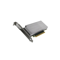 HPE P43941-001 Acc100 Card