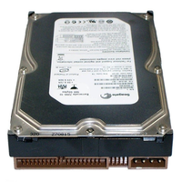 Seagate ST3500630A 500GB 7.2K RPM Ide Ultra ATA-100 HDD