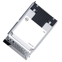 Dell 345-BELZ SAS 24GBPS SSD