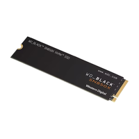 Western Digital WDS400T2X0E 4TB SSD