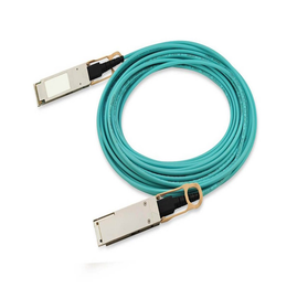 Cisco QSFP-100G-AOC10M Cable