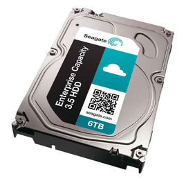 Seagate ST6000NM0024 6TB 6GBPS Hard Disk