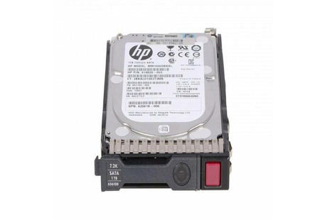 HP 454146-S21 1TB Hard Disk Drive