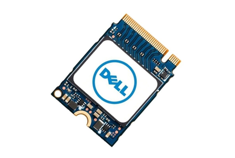 Dell SNP112233P/512G 512GB PCI-E SSD